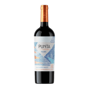 Vinho Tinto Argentino Flechas Andes Punta Malbec