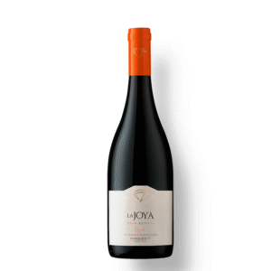 Vinho Tinto Chileno Bisquertt La Joya Syrah