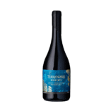 TerraNoble
Disidente Syrah - Tempranillo 2020