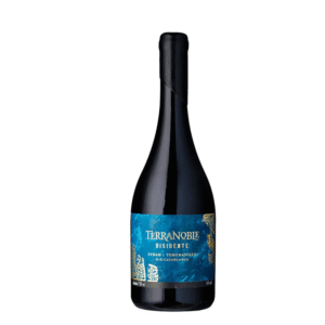 Vinho Tinto Chileno Terranoble Disidente