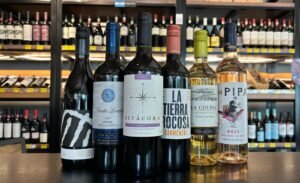 Kit 6 Vinhos - Premium Selection
