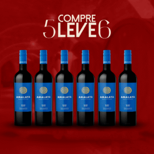 Kit Amalaya Malbec Blend – Promoção compre 5 leve 6