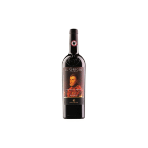 Chianti Classico Riserva Il Grigio da San Felice 2021