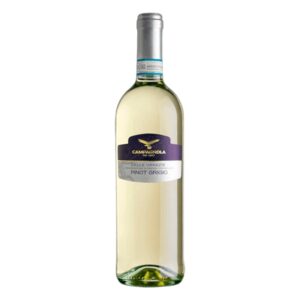 Campagnola Delle Venezie Pinot Grigio 2023